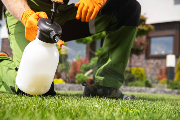 Pest Prevention Services in Spring Hope, NC